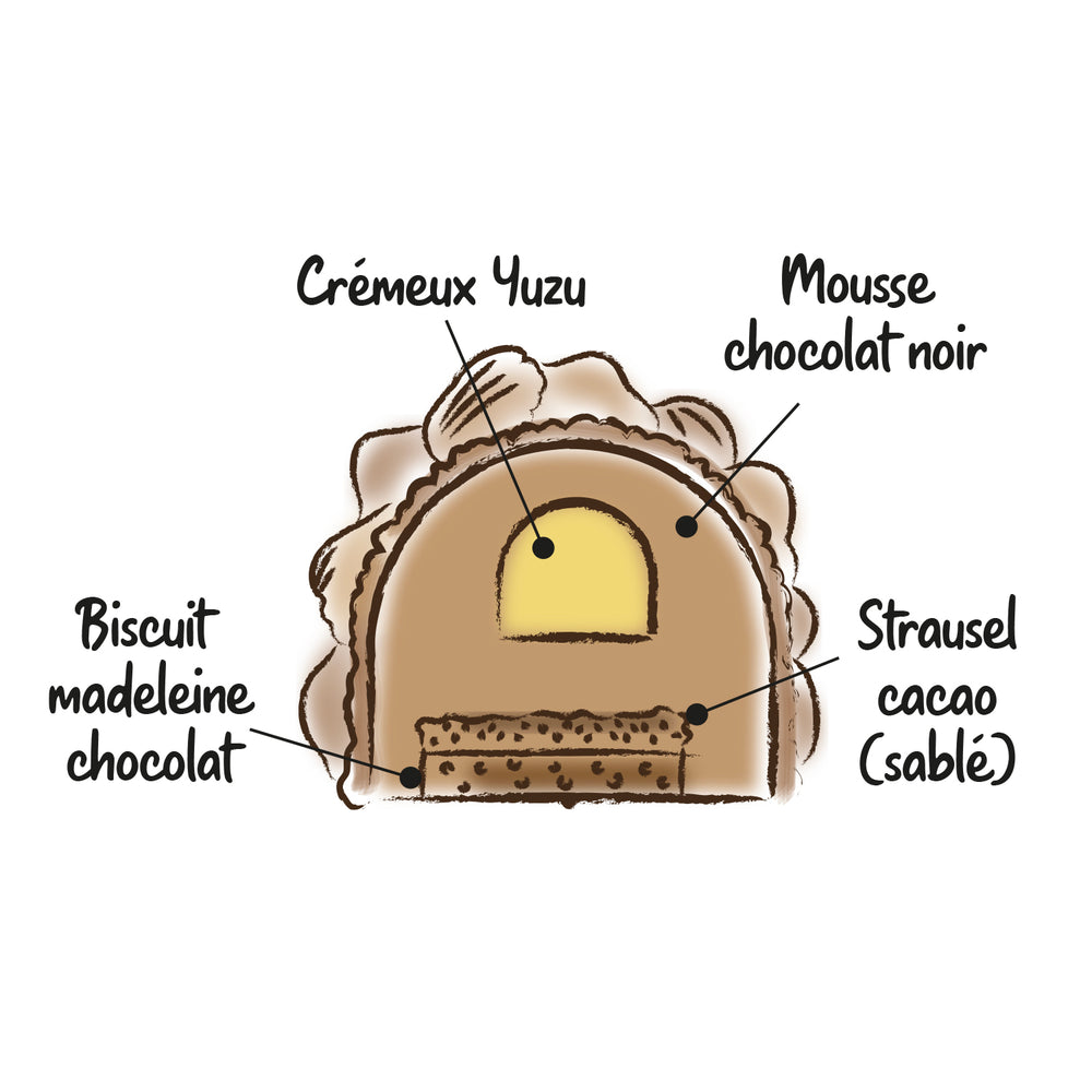 Buche Chocolat Yuzu